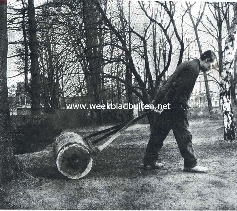 Gras onder boomen. Het terrein moet op een drogen dag goed gelijk gerold worden