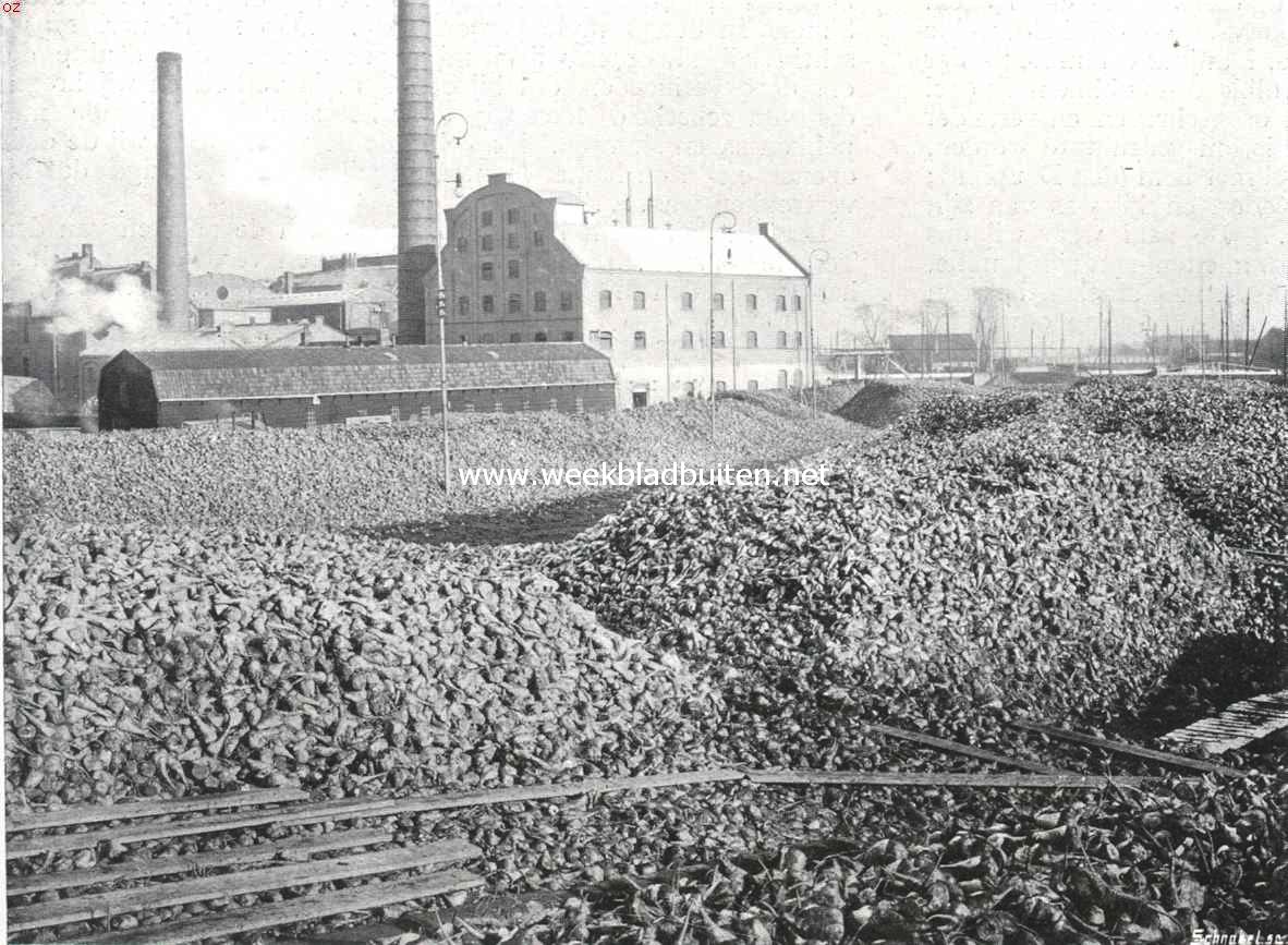 De suikerfabriek 