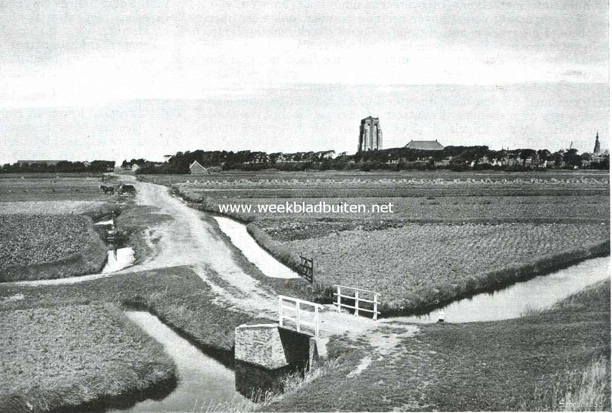 Landschap bij Zierikzee