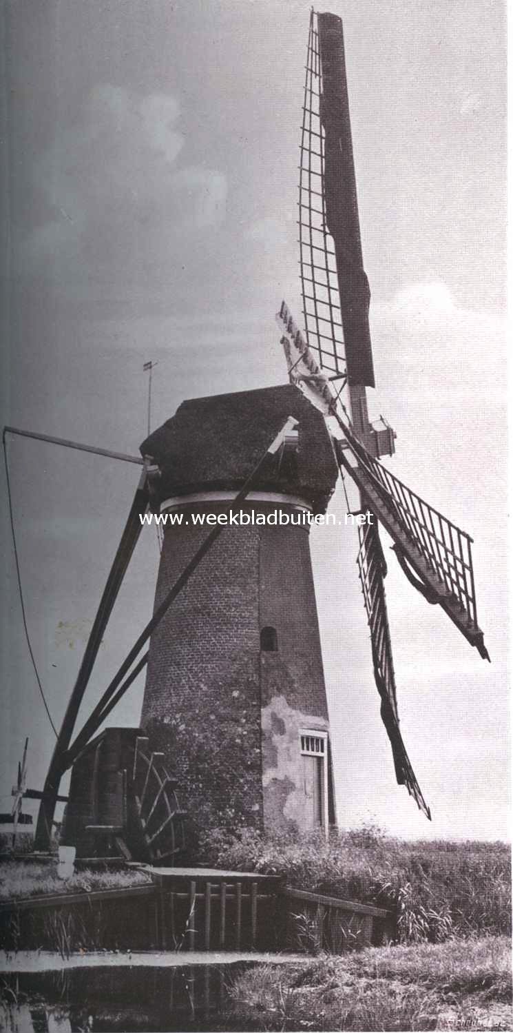 Watermolen bij Sassenheim