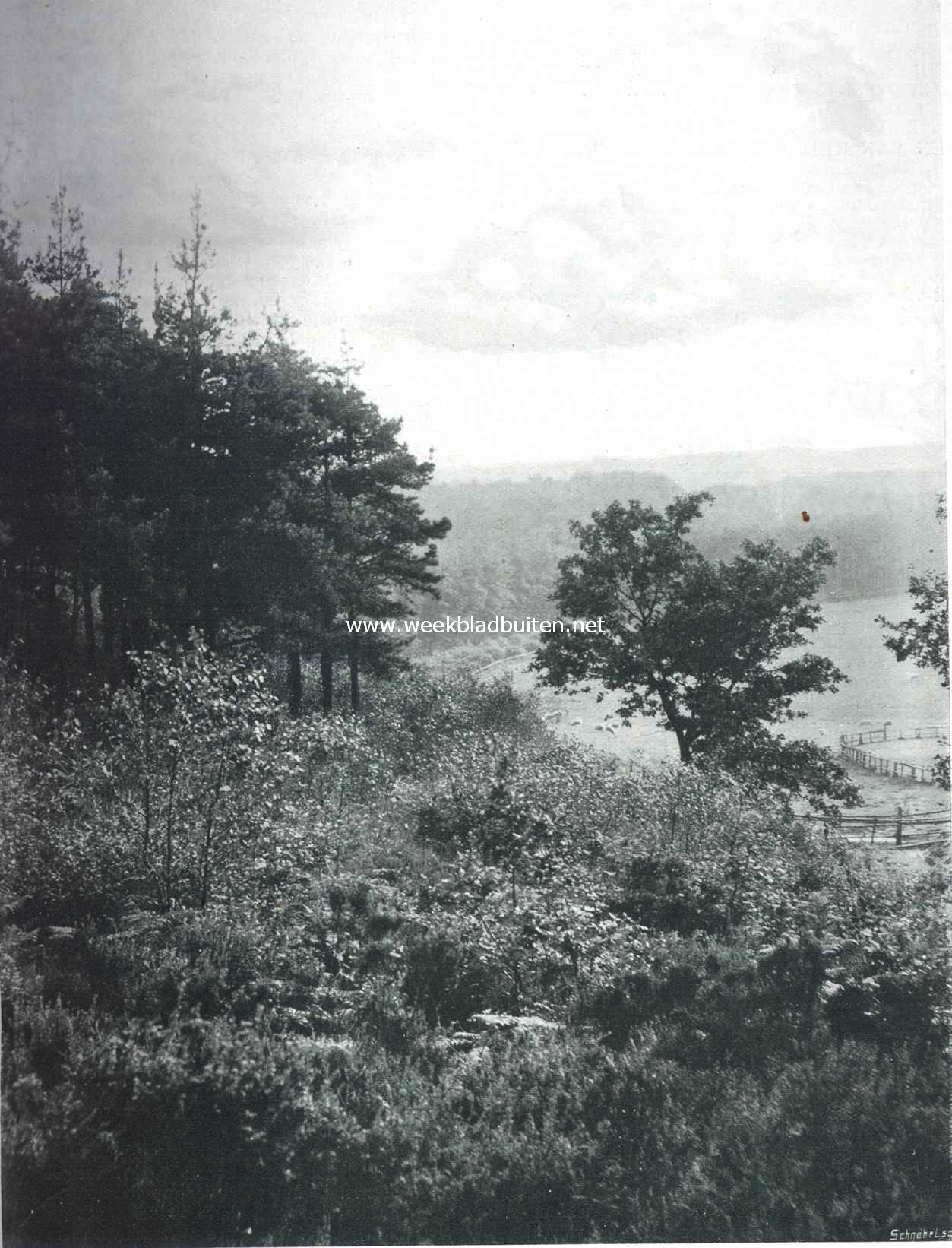 Geldersch bergpanorama, gezien van den Zijperberg bij Arnhem