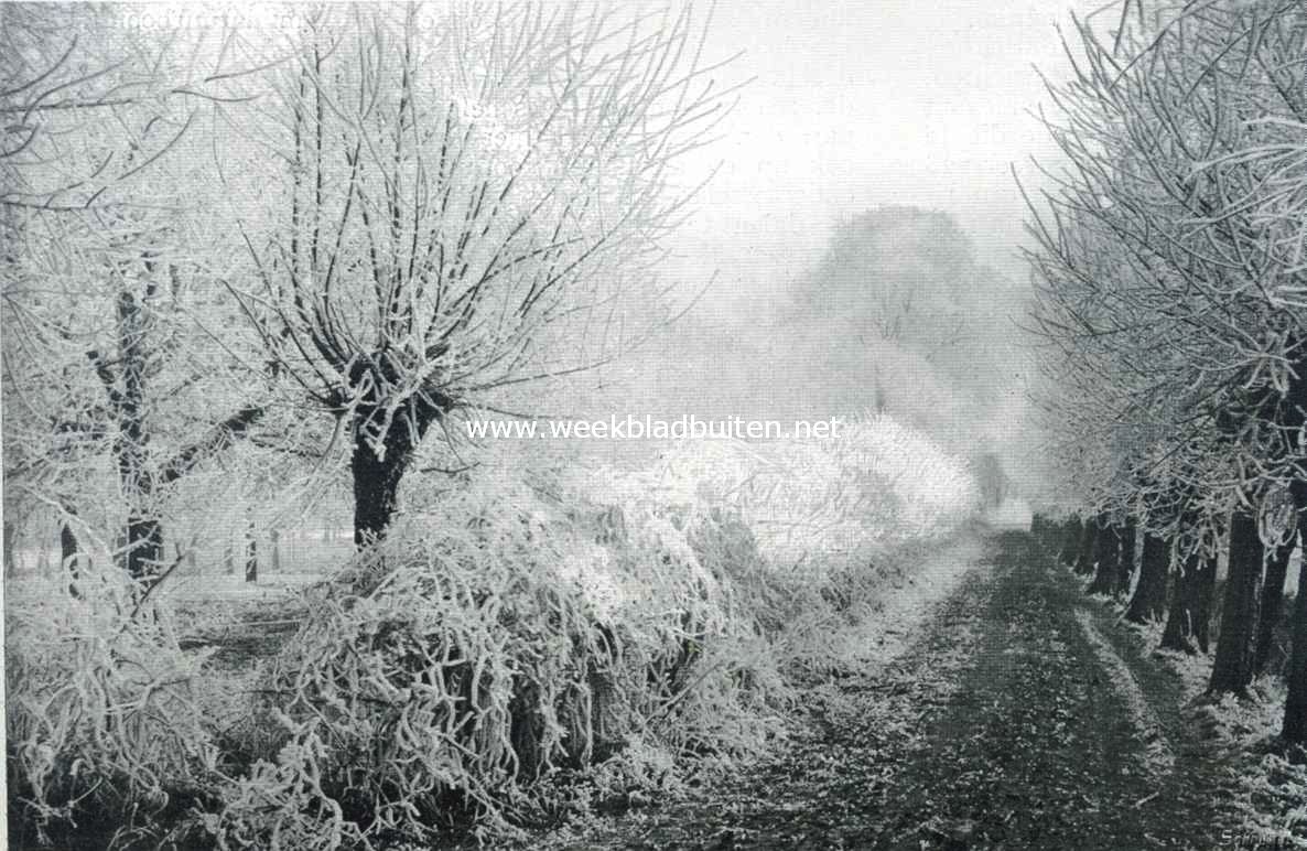 Dreef nabij Goes in wintertooi