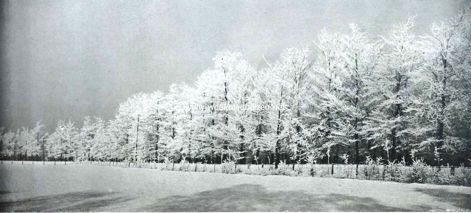 Langs den boschkant