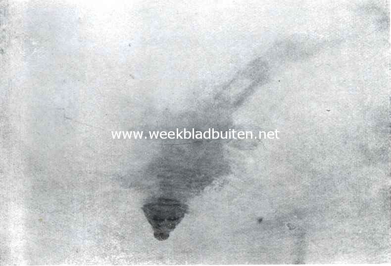Krokodillen. VIII. De krokodil vlucht voor de schuit die hem achtervolgt