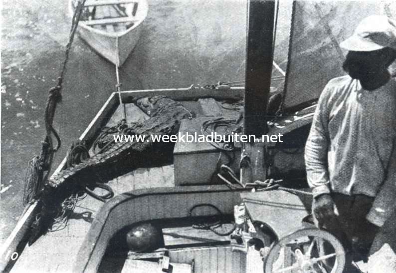 Krokodillen. X. De gevangene geboeid op het dek van een motorboot