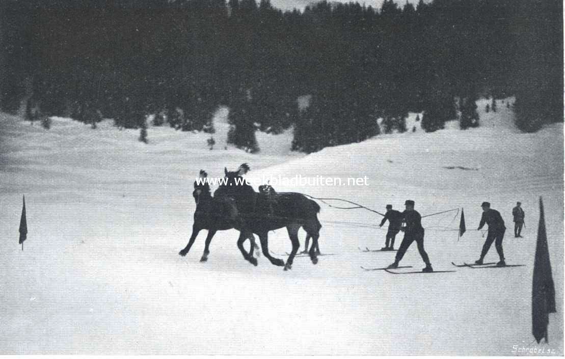 Ski-Kjring op de Obersee