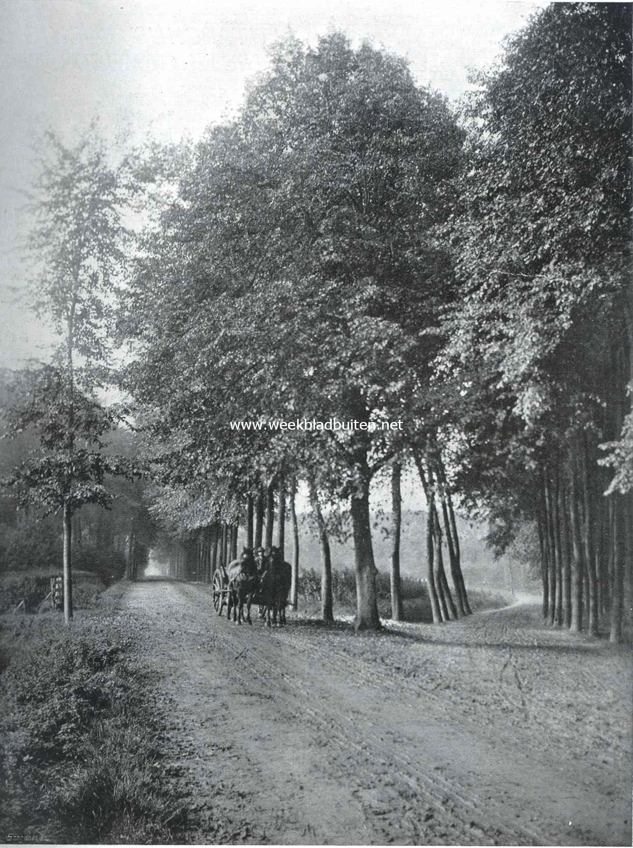 Dubbele dreef te Wemeldinge (Z.)