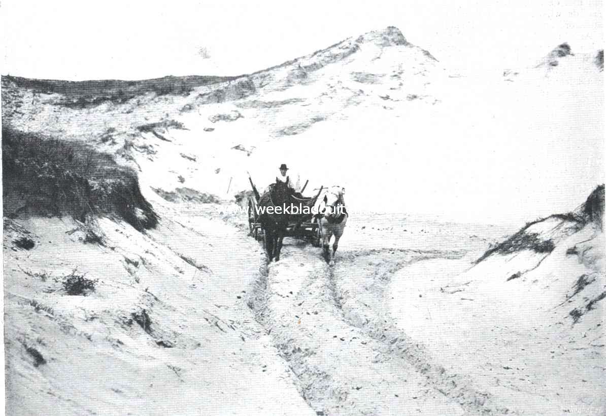 De duinen van Schouwen. In de duinen bij Haamstede. Naar huis