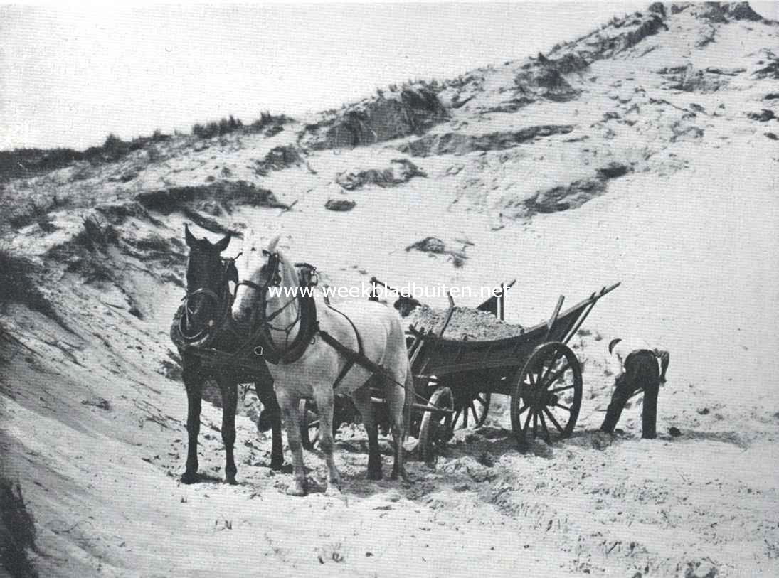De duinen van Schouwen. Zandafgraving in de duinen op Schouwen