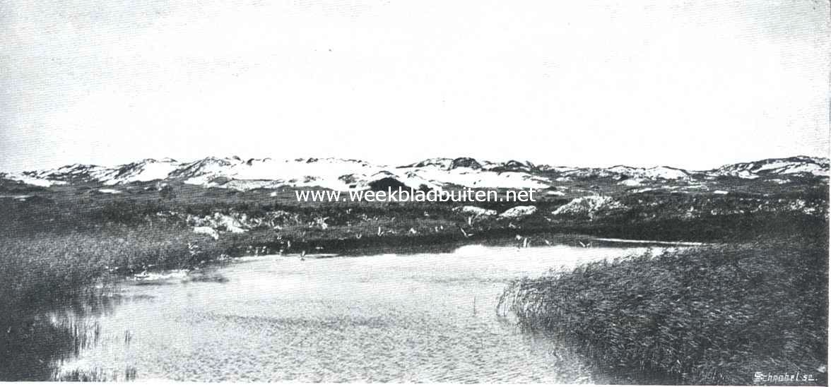 De duinen van Schouwen. Verlaten eendenkooi in de duinen