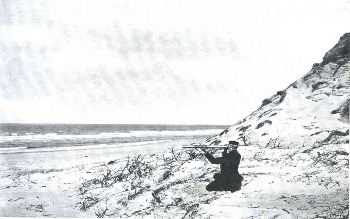 De duinen van Schouwen. Afgekalfd duin