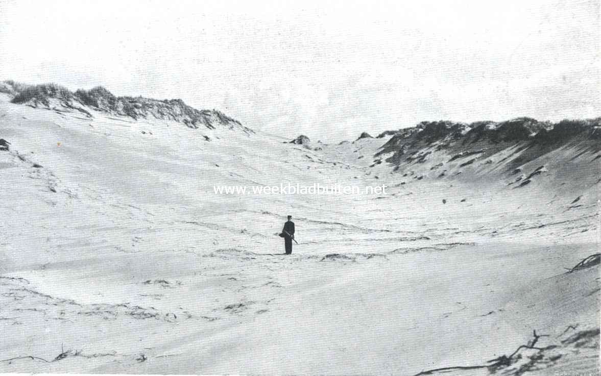 De duinen van Schouwen. Zandverstuiving in het duin