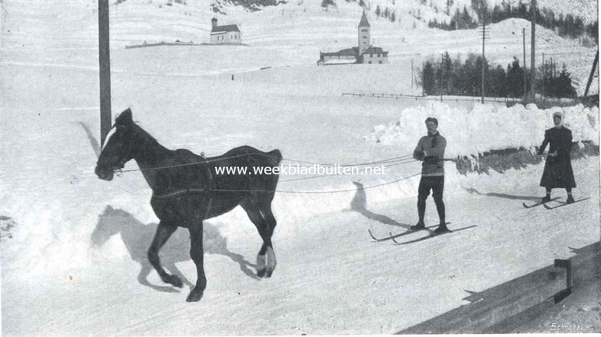 Skijring