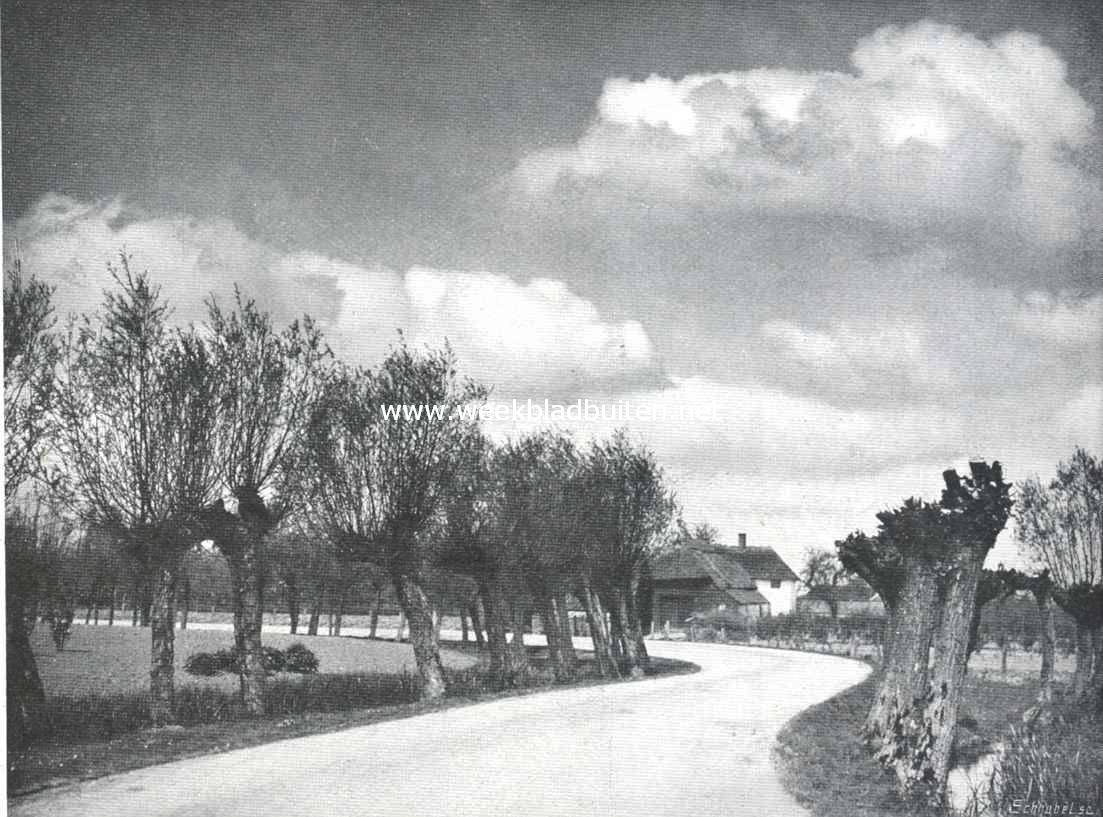 Fruitteelt. In de Over-Betuwe, als 't maar geen lente worden wil