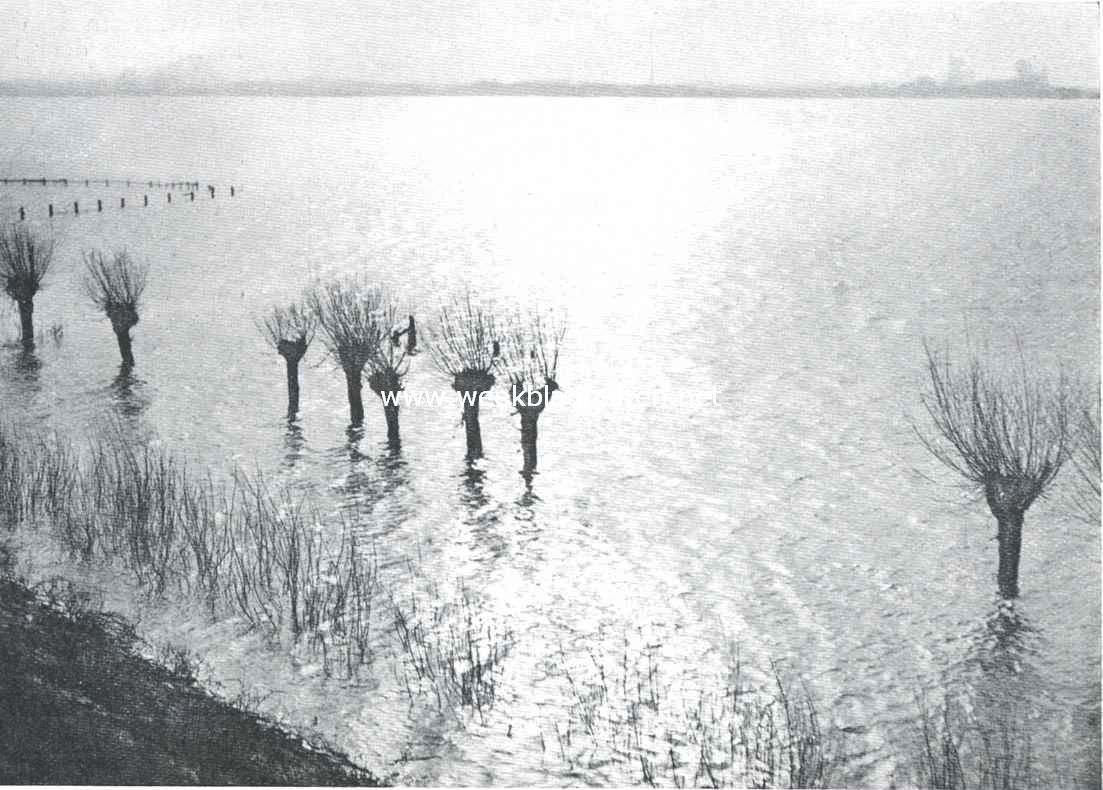 Zonneschijn en water. Ondergeloopen uiterwaarden