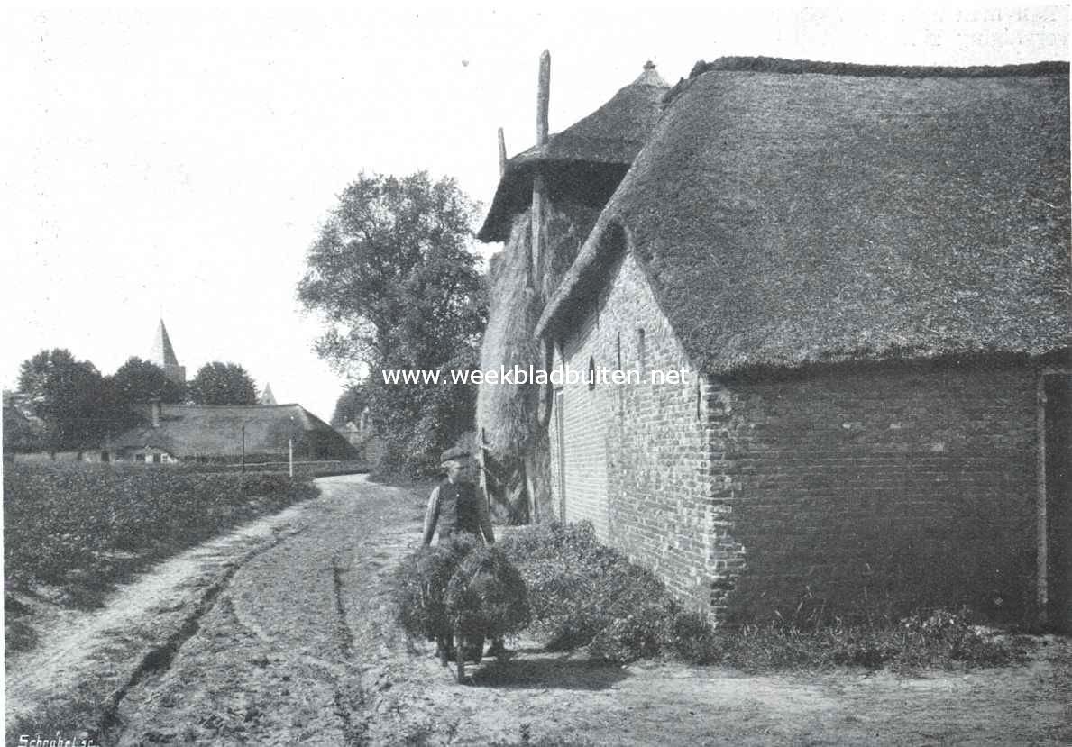 Het Gooi. Boerderij in Laren
