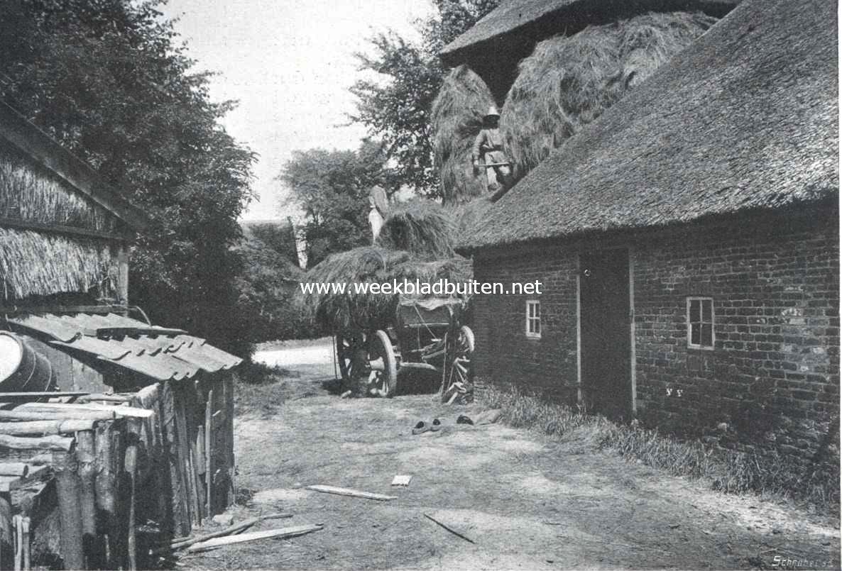 Het Gooi. Hooi-oogst