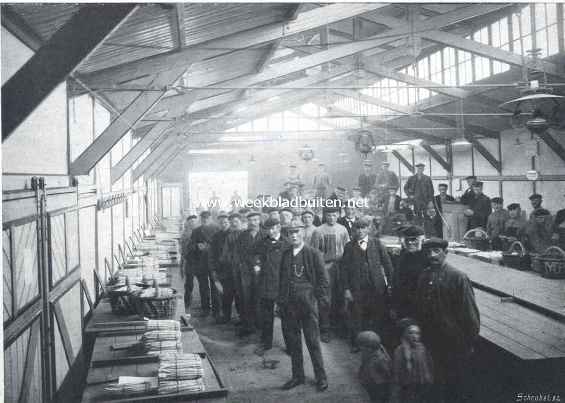 Over asperges. Op de aspergeveiling te 's-Gravenzande even voor den aanvang van een der allereeste veilingen. In het volle seizoen komen ongeveer 4000  6000 bos per dag ter veiling