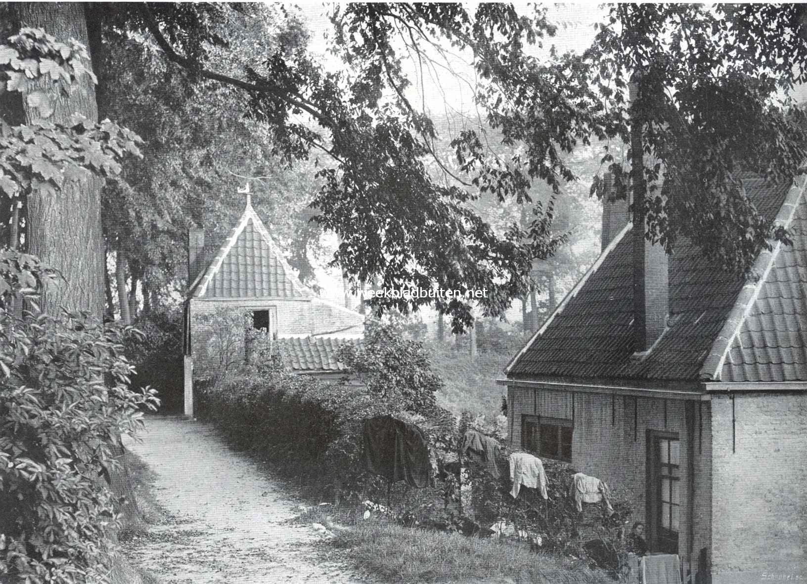 Zuid-Beveland, voornamelijk als landbouwland. Laantje bij Goes