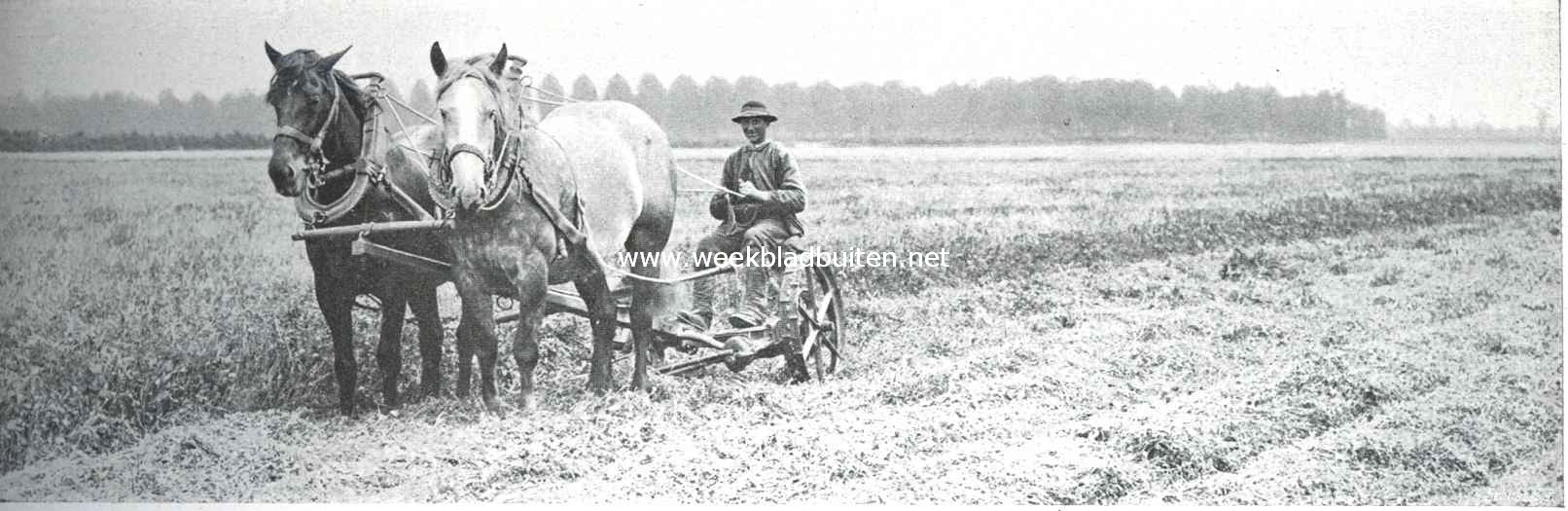 Zuid-Beveland, voornamelijk als landbouwland. De maaimachine in werking