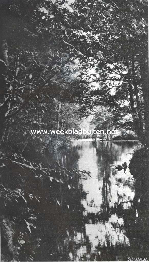 De Oorsprong. Vijver met zwanen