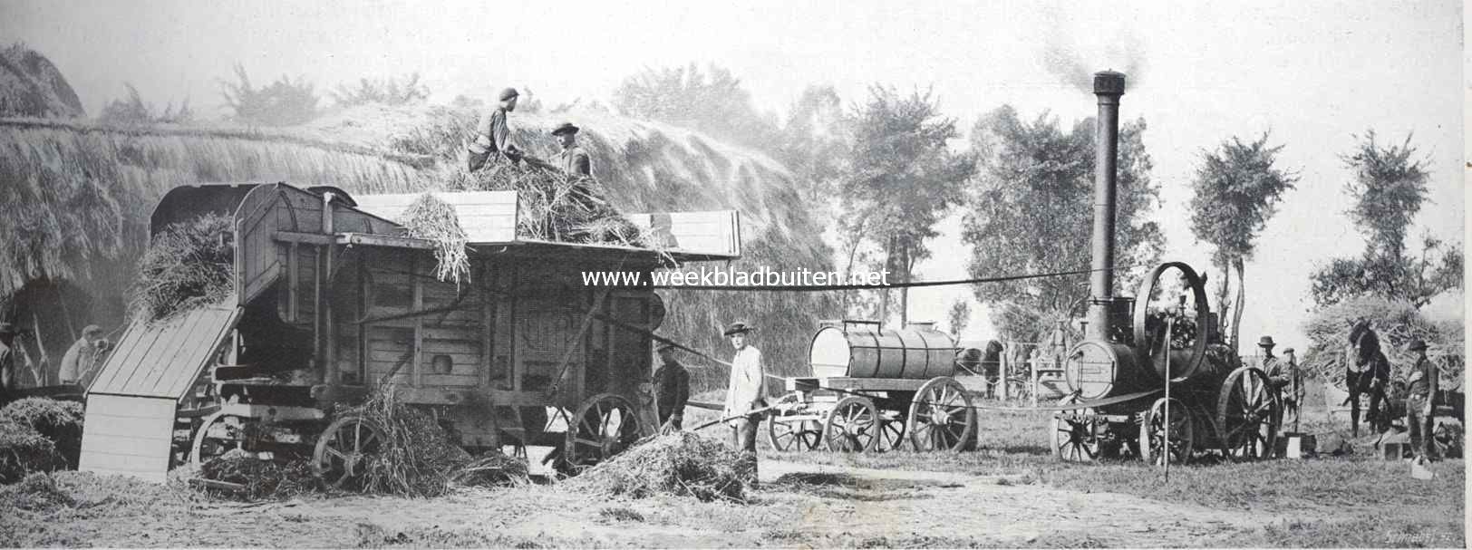 Zuid-Beveland, voornamelijk als landbouwland. Stoomdorschmachine in werking. Koolzaad-dorschen
