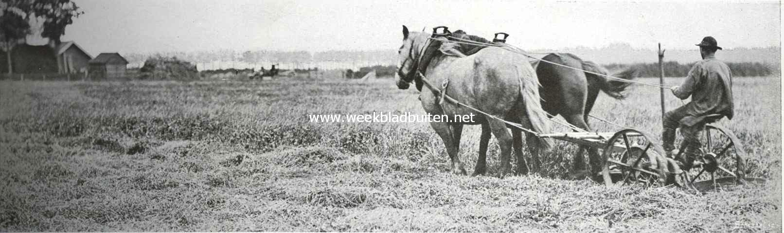 Zuid-Beveland, voornamelijk als landbouwland. Klavermaaimachine in werking