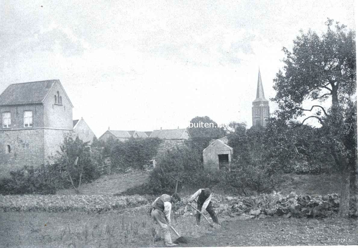 Aardappels. Aardappelen rooien in Limburg