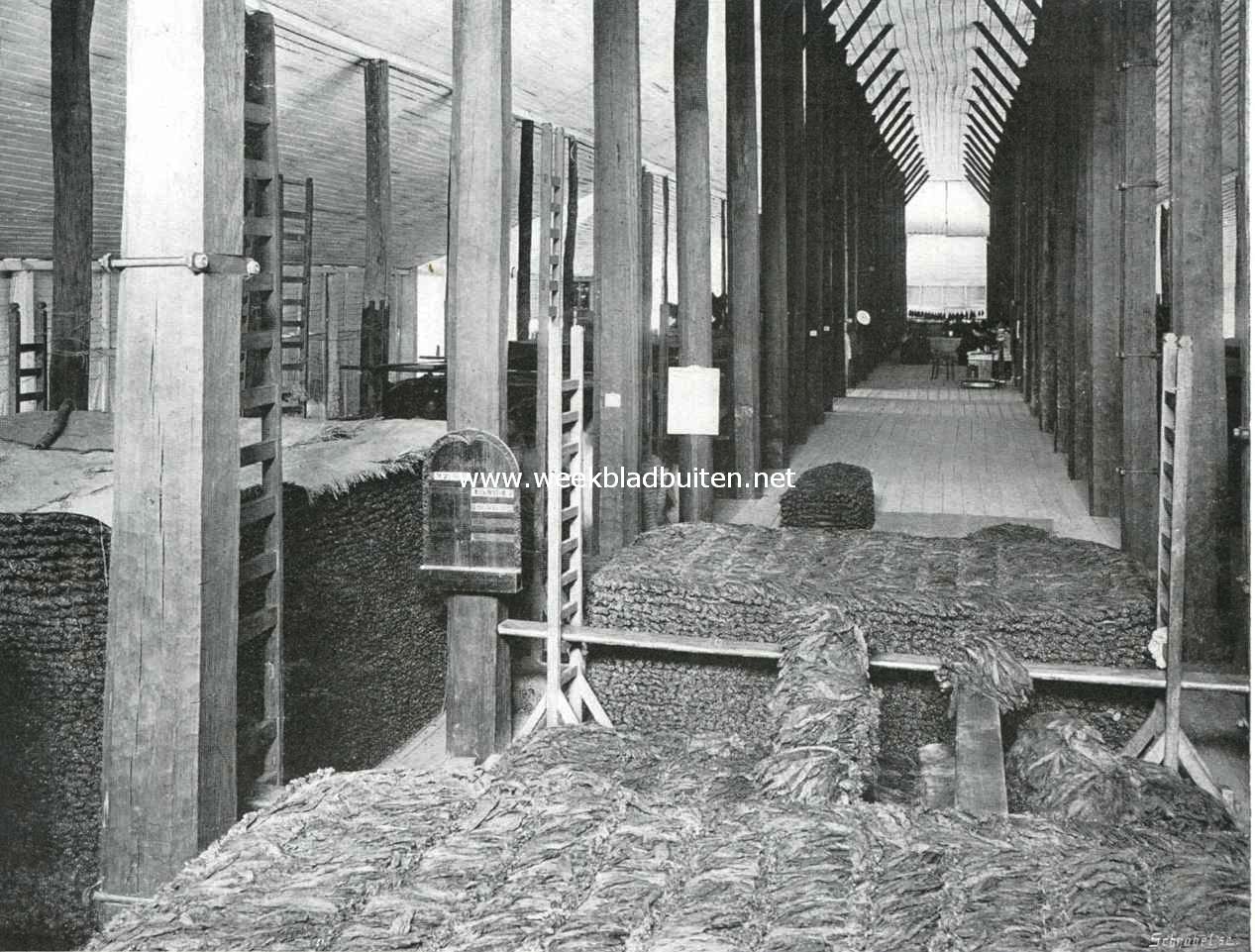 De tabakscultuur in Ned.-Indi. Het stapelen van de tabak in de fermenteerschuur (Deli)