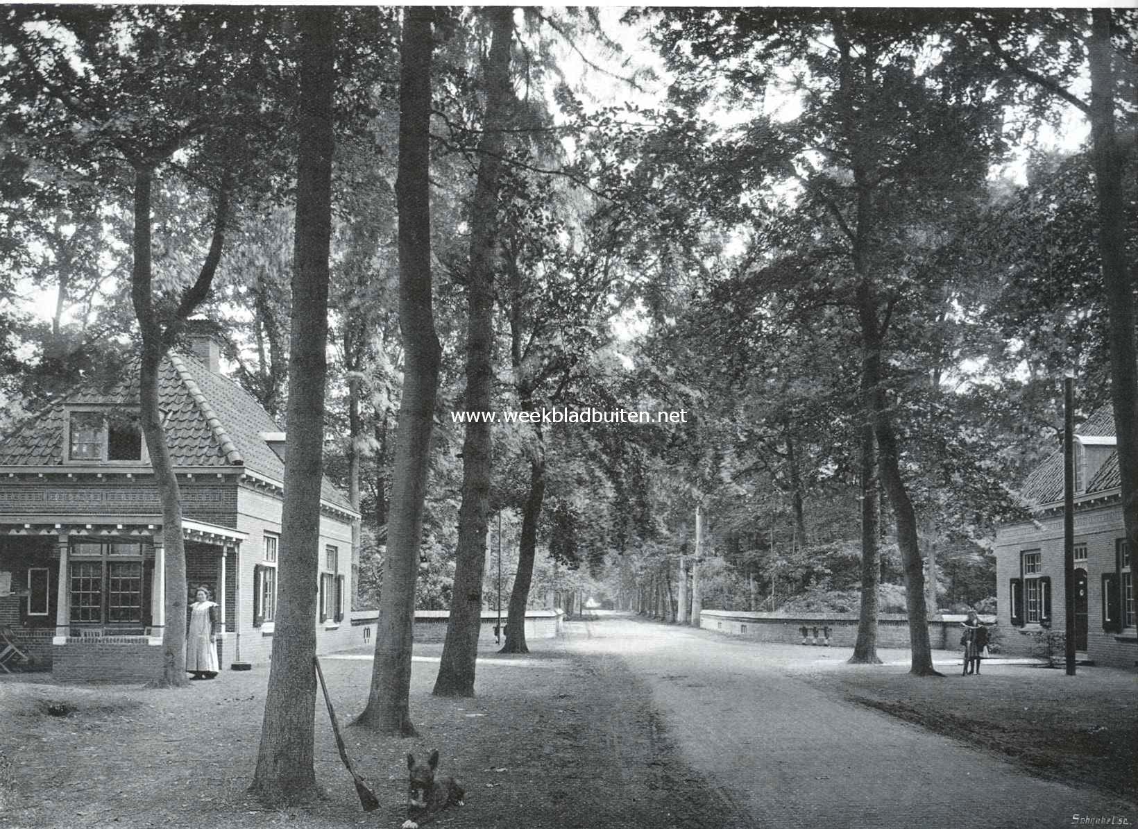 Naarden. De steenen brug in het bosch van Bredius