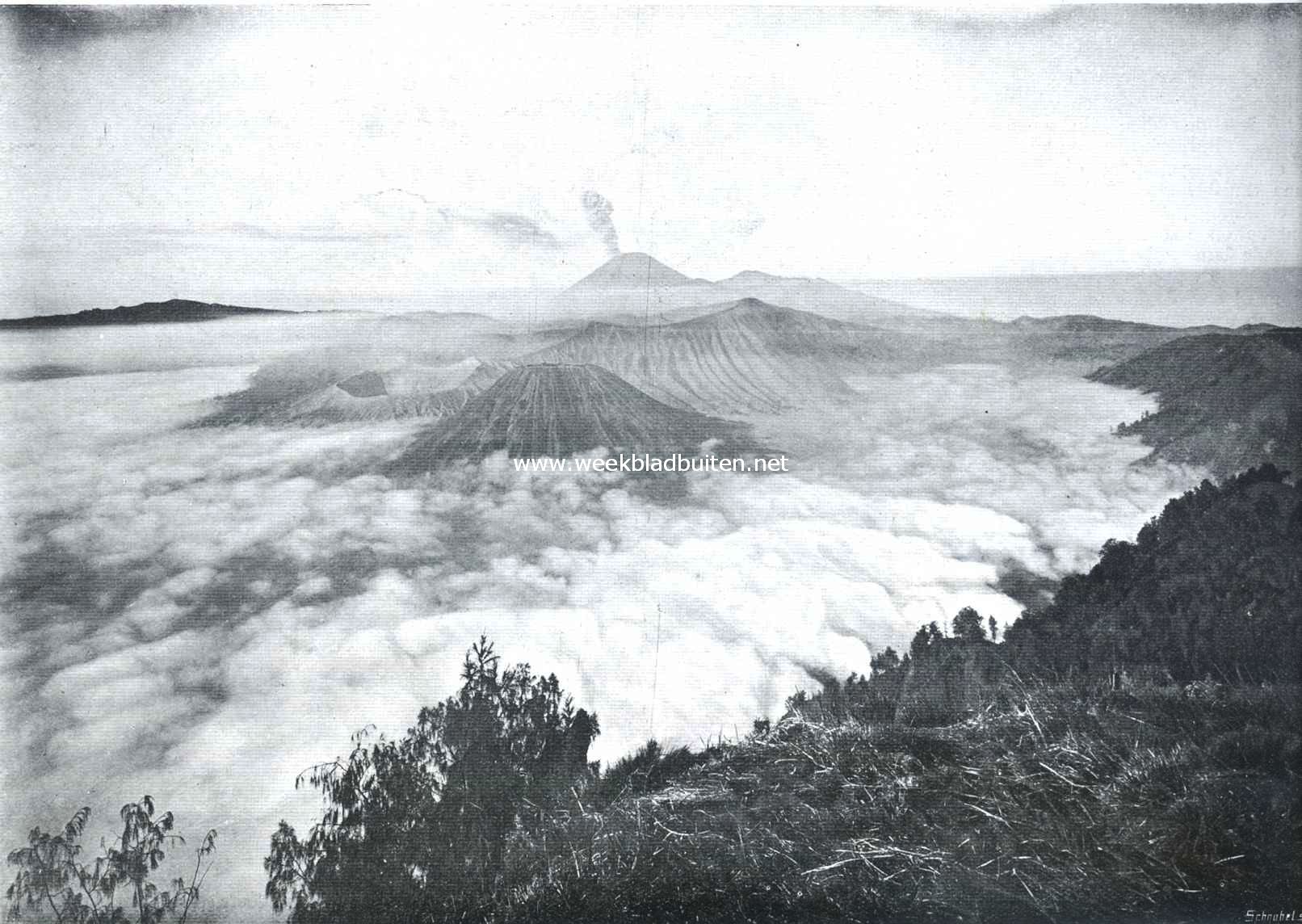 De Bromo