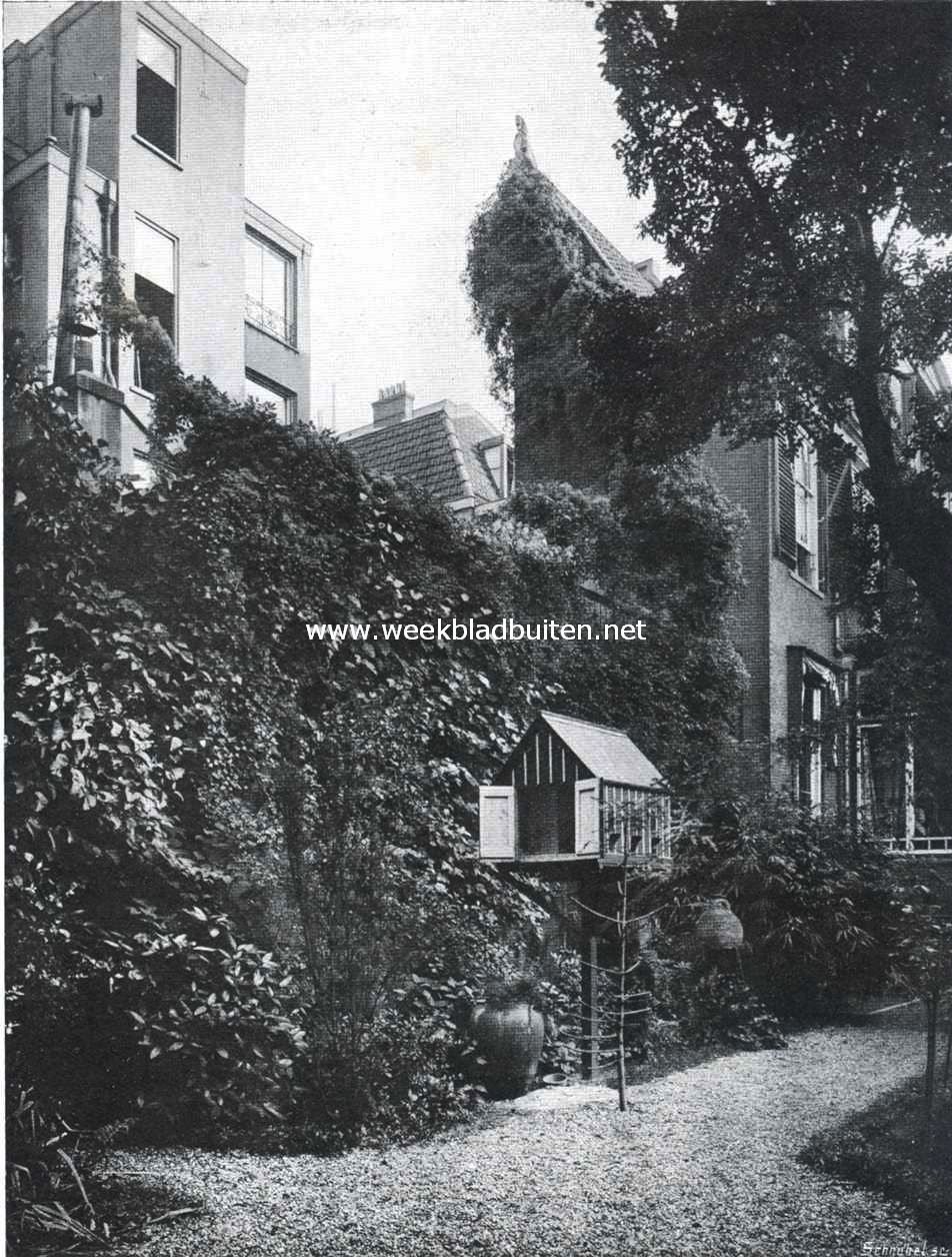Clematis Vitalba (Boschrank), in 1900 in een Amsterdamschen tuin geplant, met vier ranken, twee 5 en twee 3 cM. Dik. Langs ijzergaas opgegroeid tot om den geveltop (ongeveer 15 M.) in het midden, terwijl links de schoorsteenpijp is bereikt en uit het midden een rank is geleid in den peerenboom rechts, de witte bloemtrossen hebben thans het eigenaardig vruchtpluis voortgebracht