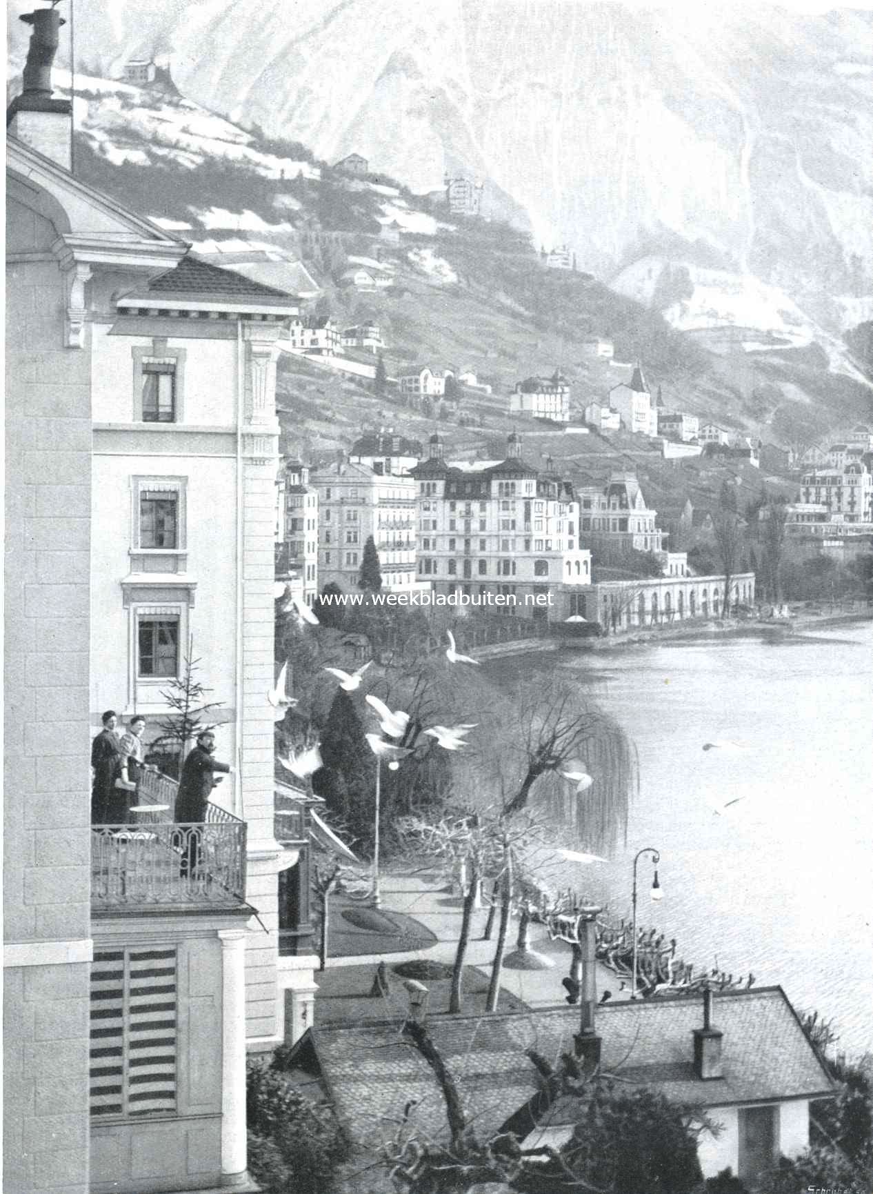 Voederen van meeuwen in Montreux