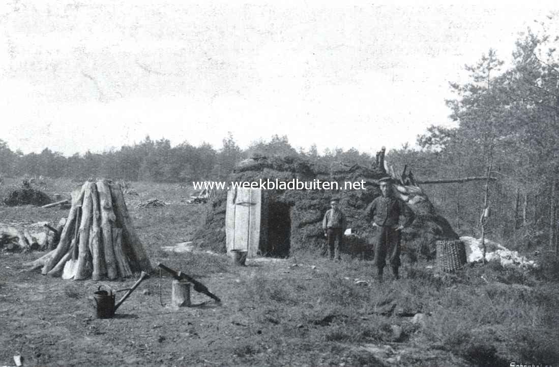 Kolenbranders op de Veluwe 1