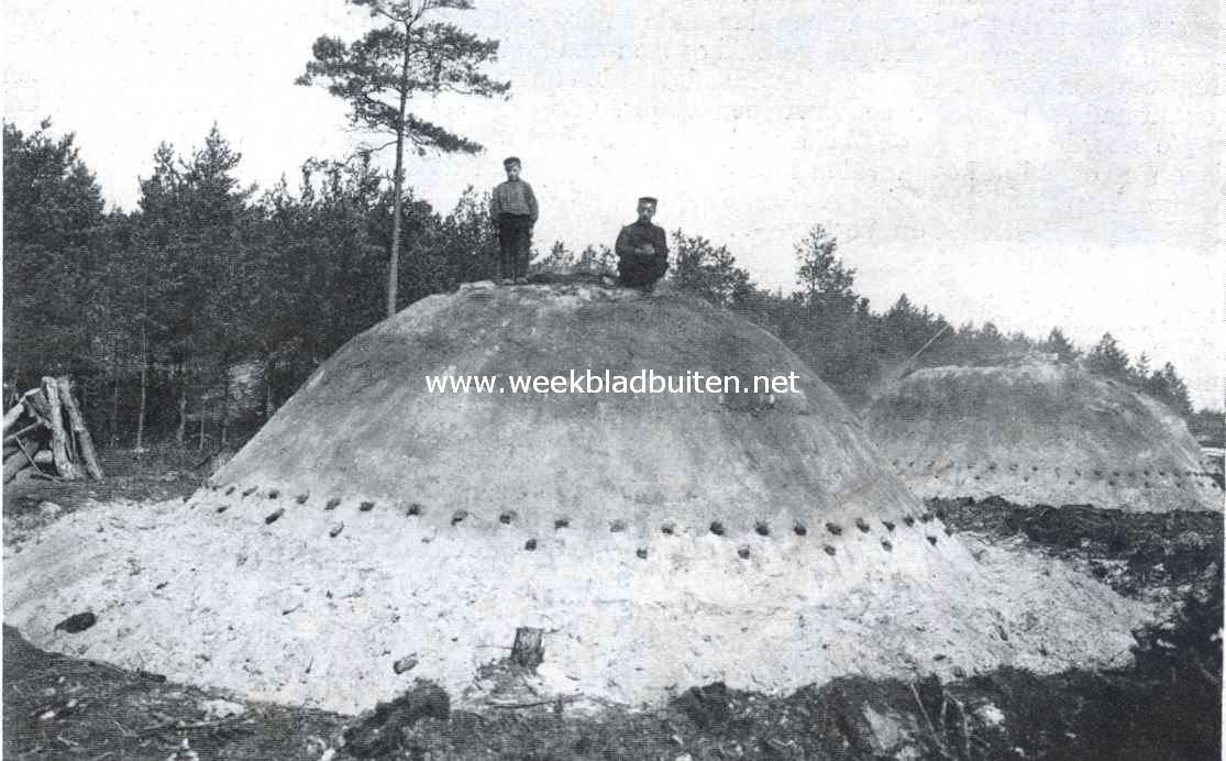 Kolenbranders op de Veluwe 2