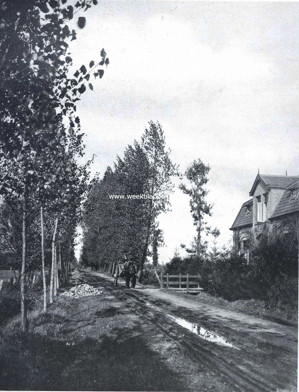 Als de bladeren vallen. In de dreven