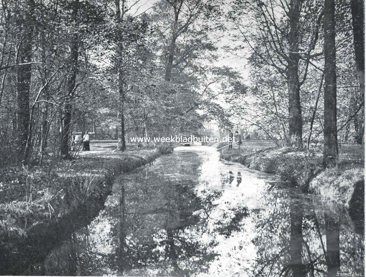 Als de bladeren vallen. Rozenburg re Rotterdam in den herfst
