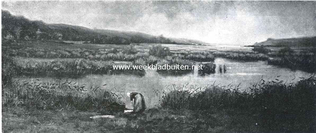 In de vennen