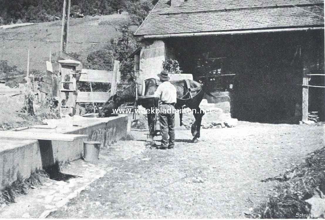 Van hooge bergen en kleine levens. Reizger en paard die dorst hebben.