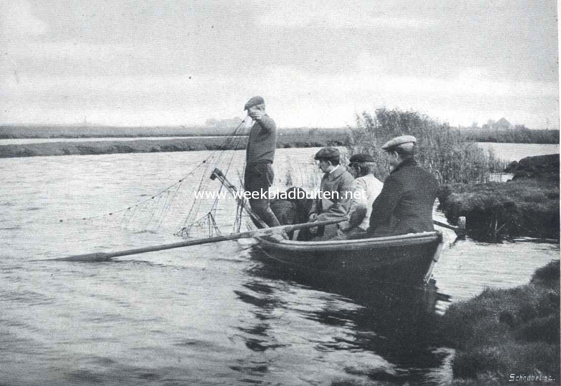 Snoekvisschen met den kaaskop. Afsluiten van een geschikten hoek