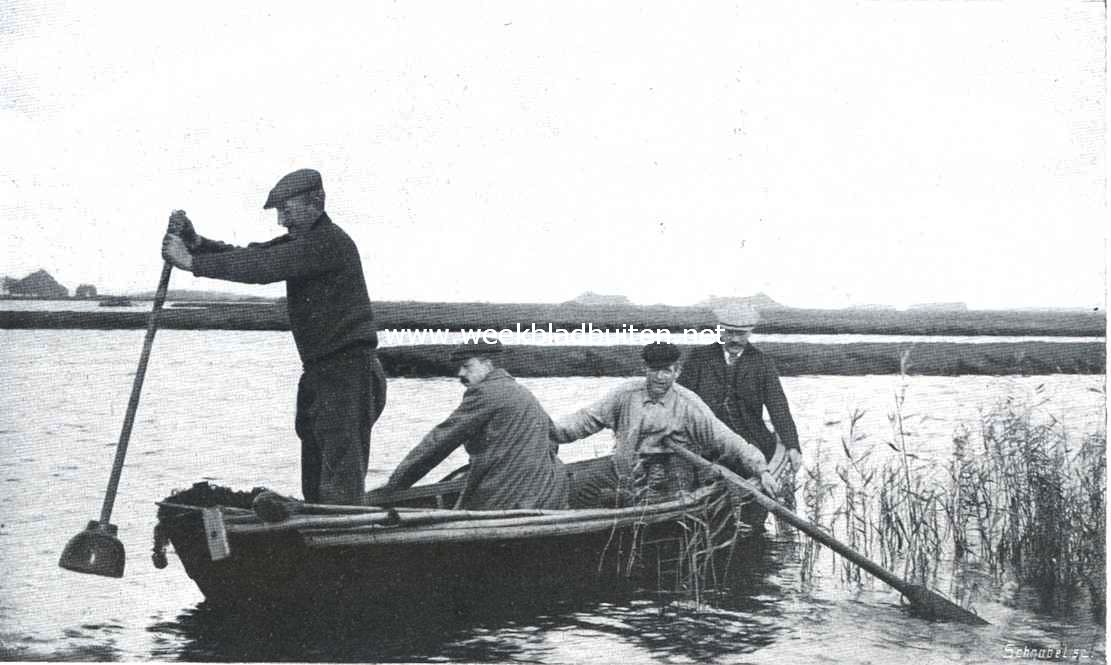 Snoekvisschen met den kaaskop. Door het plonsen met den kaaskop, wordt de visch in de schakels gedreven