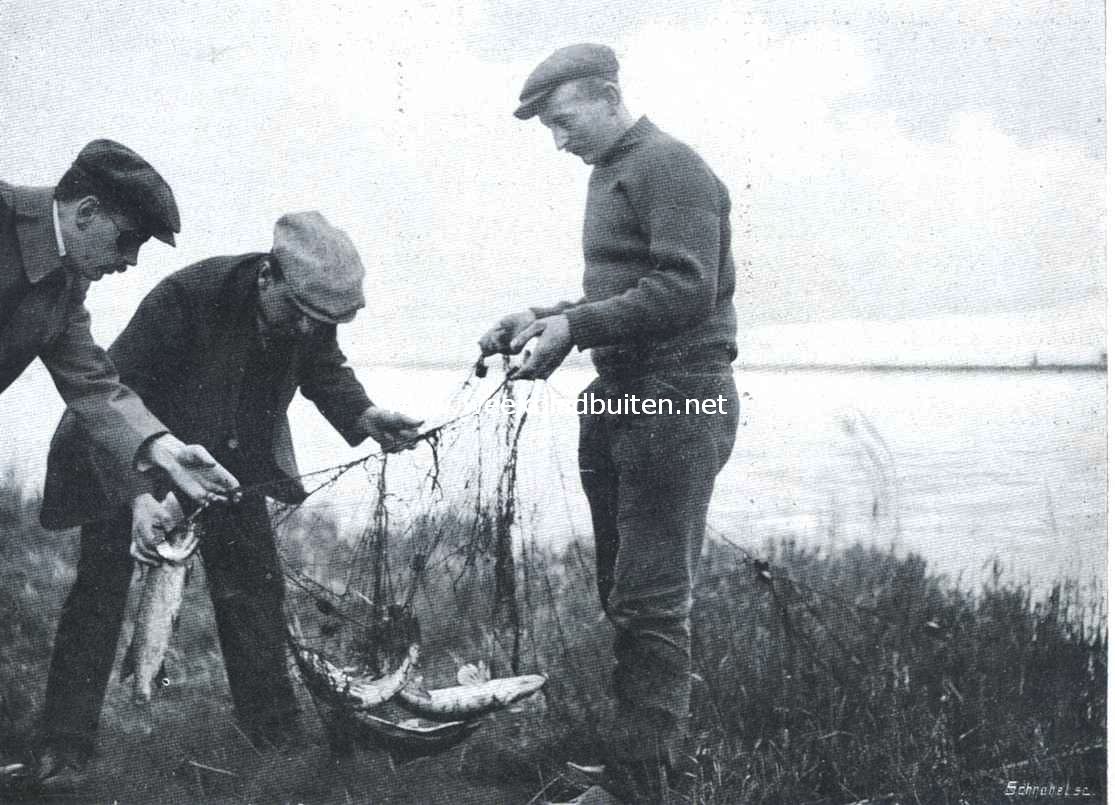 Snoekvisschen met den kaaskop. Een prachtige trek