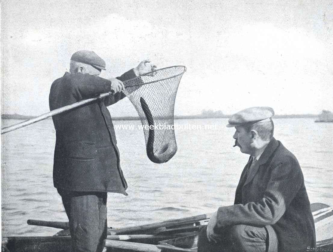 Visschen met de fuik. Een mooie paling van bijna vier pond