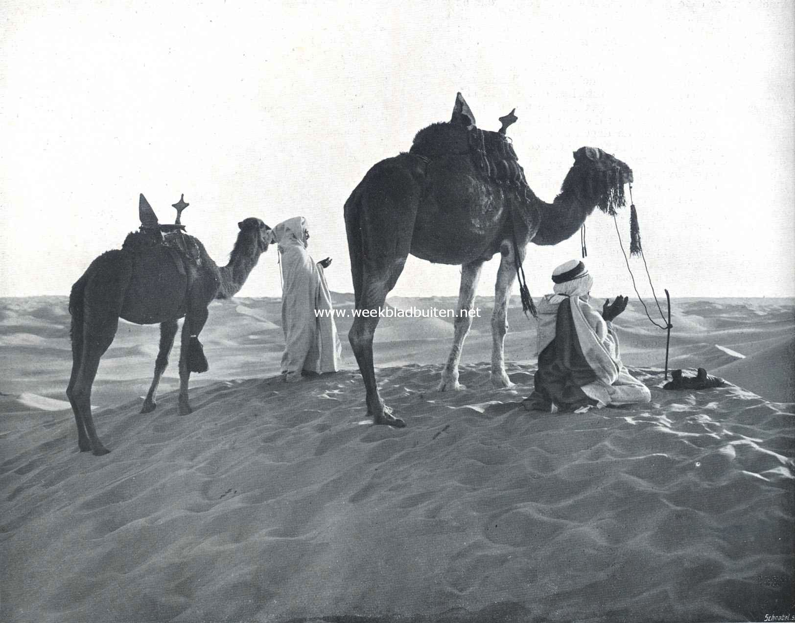 Van Afrika's noordkust. Mehara-priesters in gebed