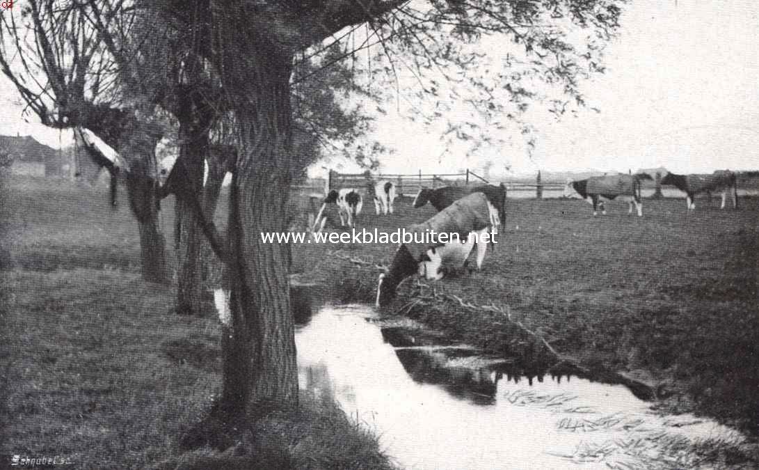 Hattem, een interessant Veluwsch stadje. De Hoenwaard bij Hattem