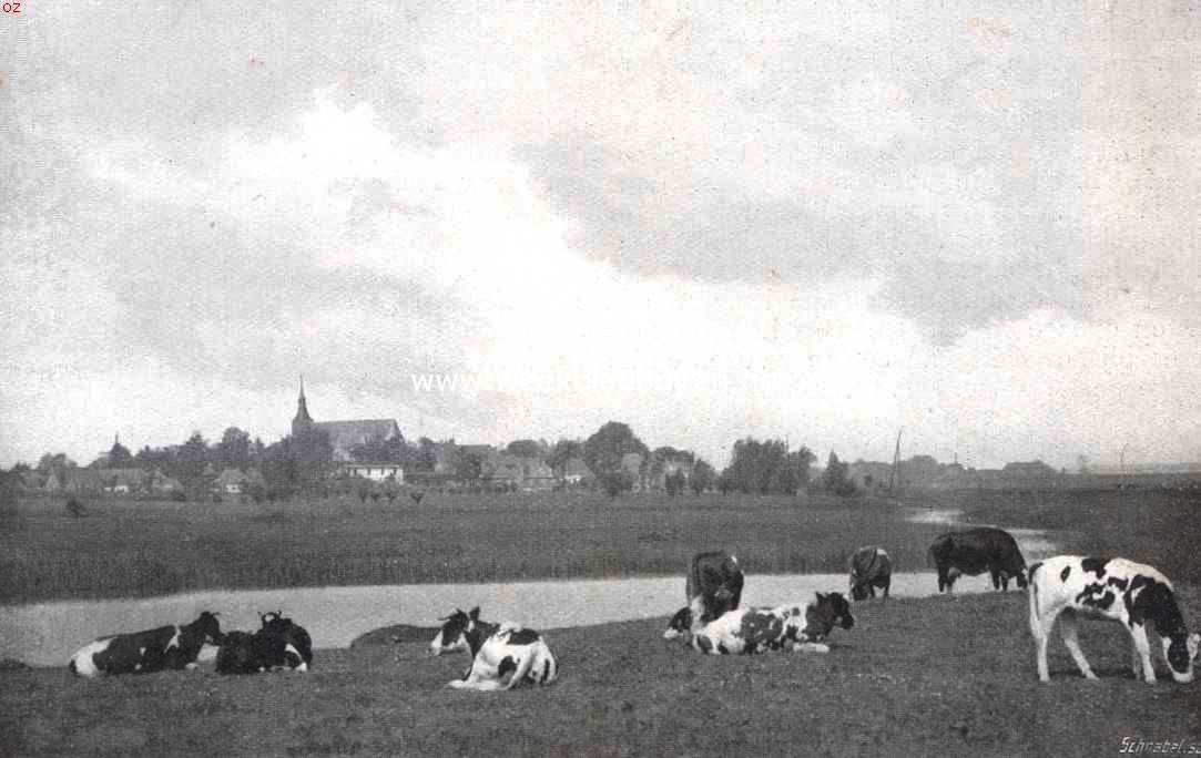 Hattem, een interessant Veluwsch stadje. Weide met gezicht op Hattem
