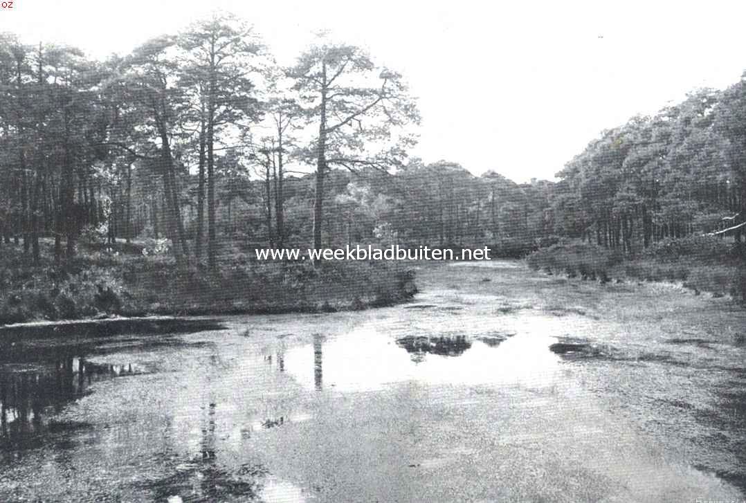 Oisterwijk. Het van Esscheven