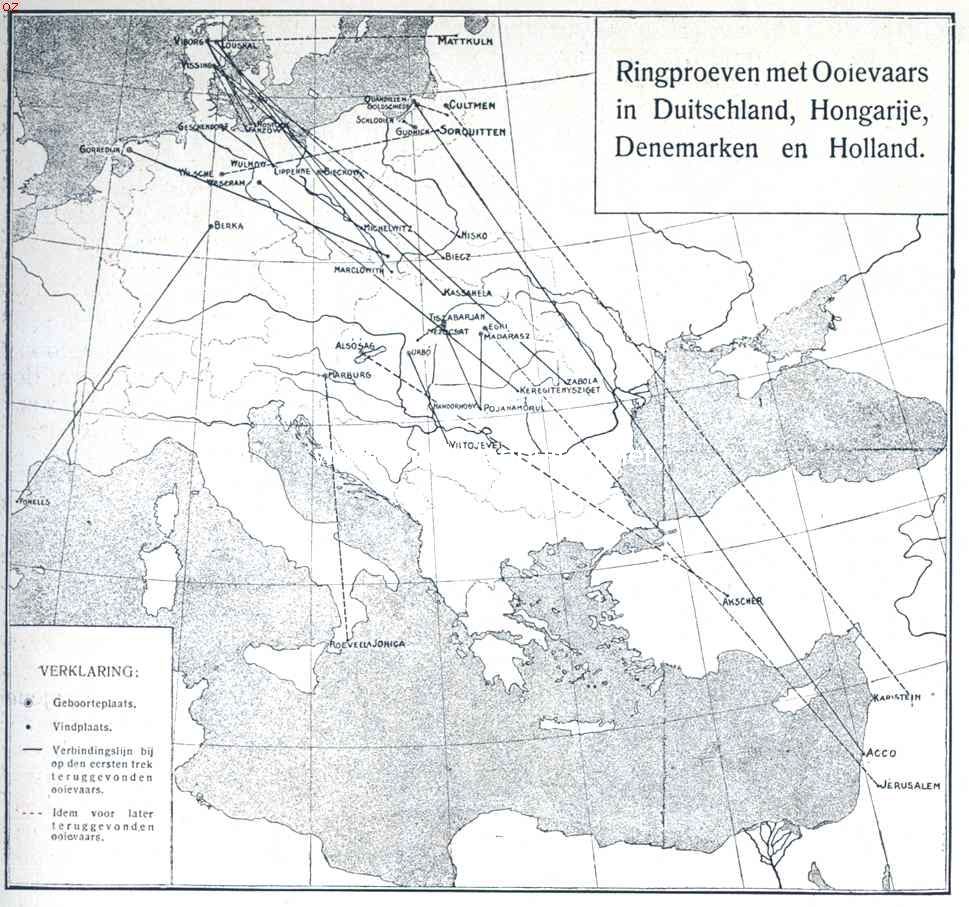 Ringproeven met ooievaars in Duitschland, Hongarije, Denemarken en Holland