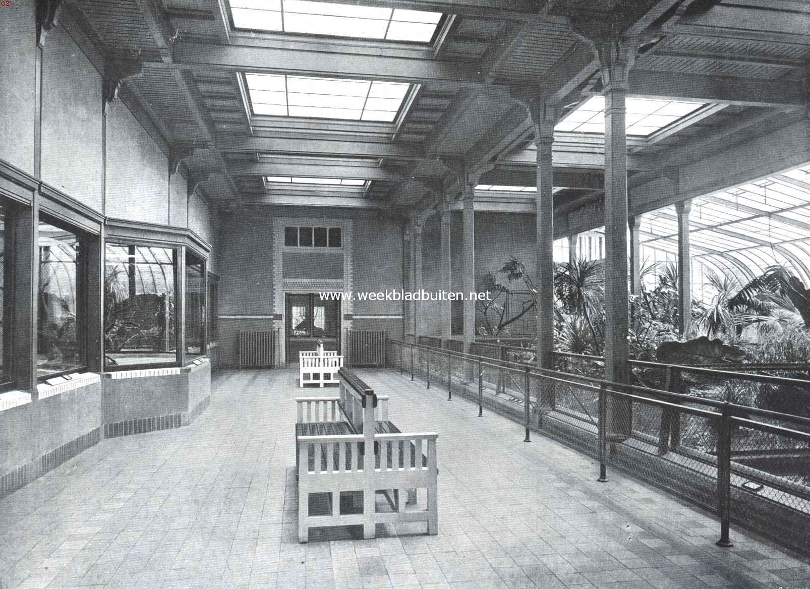 In het Reptielenhuis van 