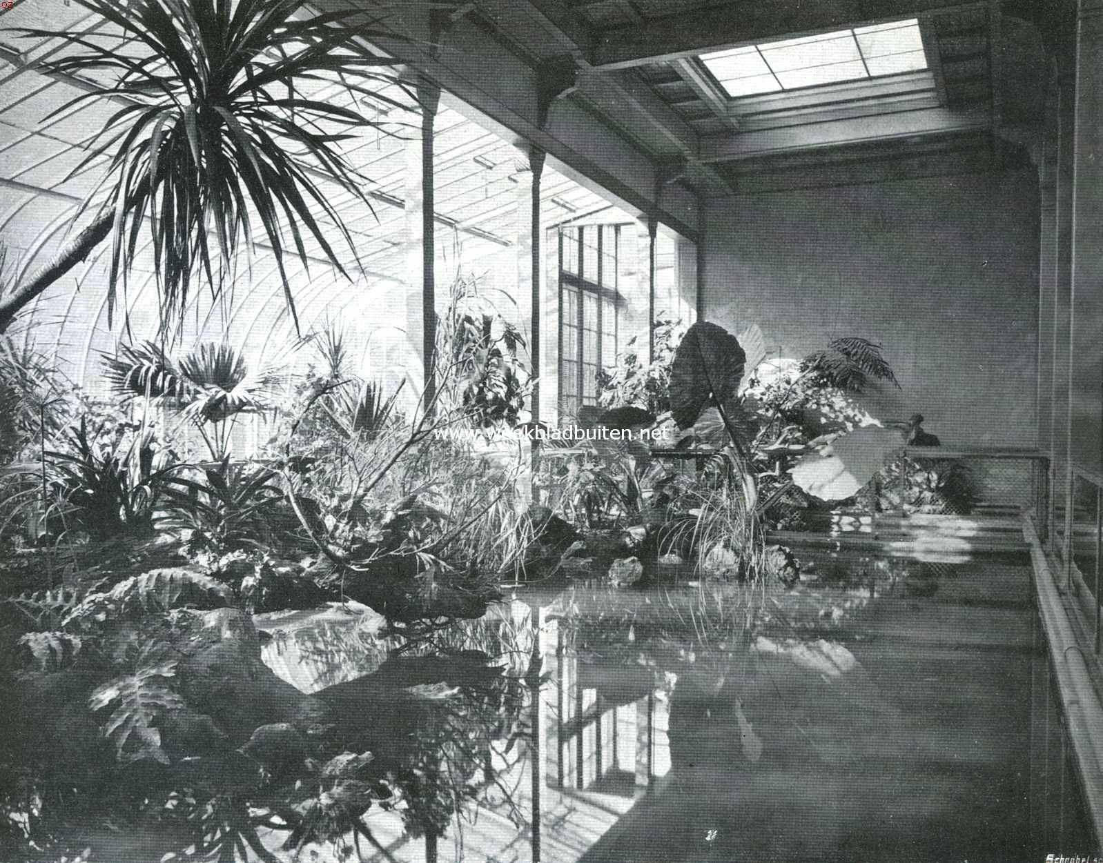 In het Reptielenhuis van 